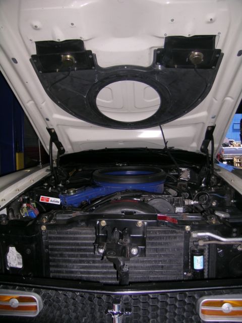 1972 Ford Mustang Mach 1 - photo 5