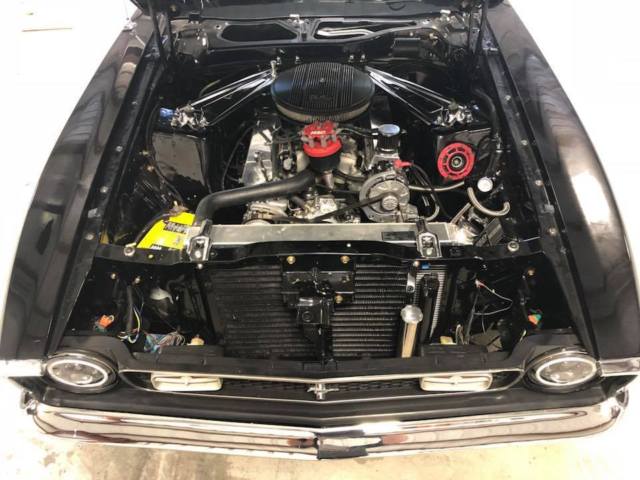 1972 Ford Mustang mach 1 - photo 5