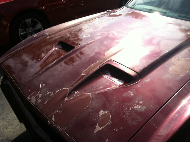 1972 Ford Mustang Mach 1 - photo 10