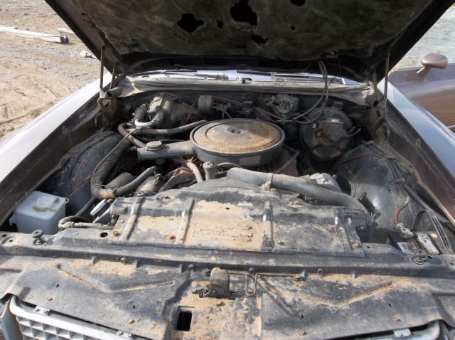 1972 Oldsmobile Cutlass Supreme - photo 9