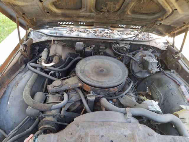 1972 Oldsmobile Cutlass Coupe - photo 12