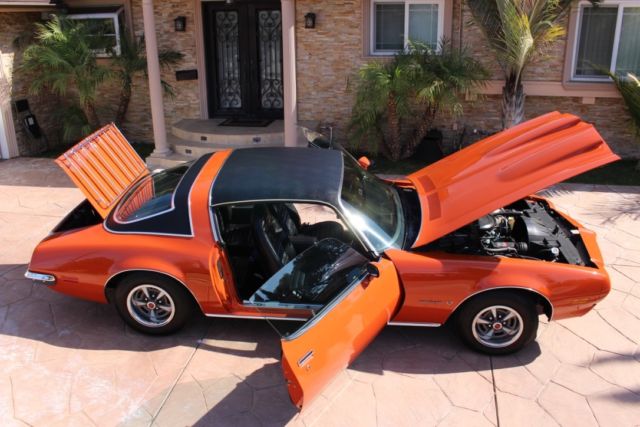 1972 Pontiac Firebird special - photo 11