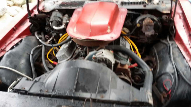 1972 Pontiac Firebird Coupe - photo 4