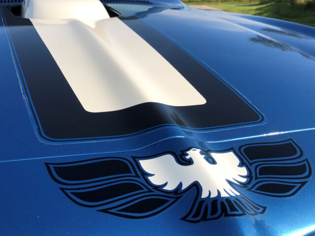 1972 Pontiac Trans Am 455 HO, 4 Spd Lucerne Blue, 1 of 458 - photo 4