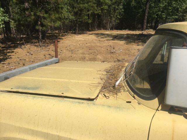 1972 International Harvester Scout - photo 4