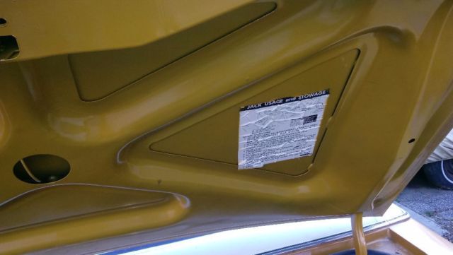 1972 Ford Thunderbird Black and chrome side molding - photo 3