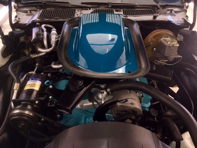 1972 Pontiac Trans Am 455 H.O. - photo 11