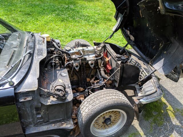 1972 Triumph Spitfire Mk3 - photo 5