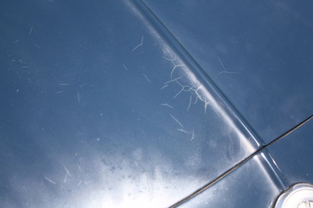 1972 Volkswagen Karmann Ghia Base - photo 13
