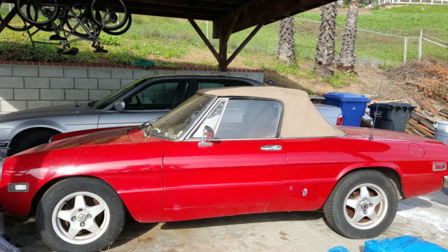 1973 Alfa Romeo Spider