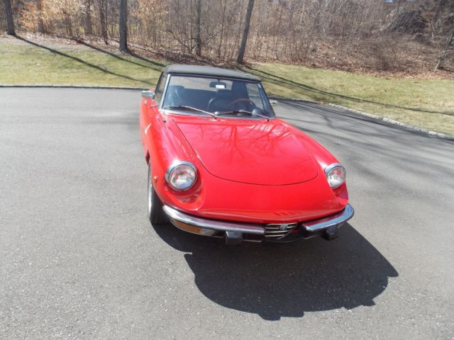 1973 Alfa Romeo Spider - photo 2