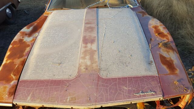 1973 AMC AMX Javelin 1973 AMC AMX