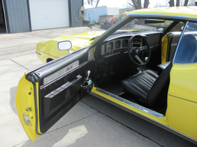 1973 Other Makes AMX - photo 11