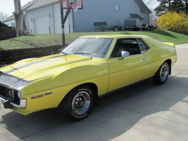 1973 Other Makes AMX - photo 3