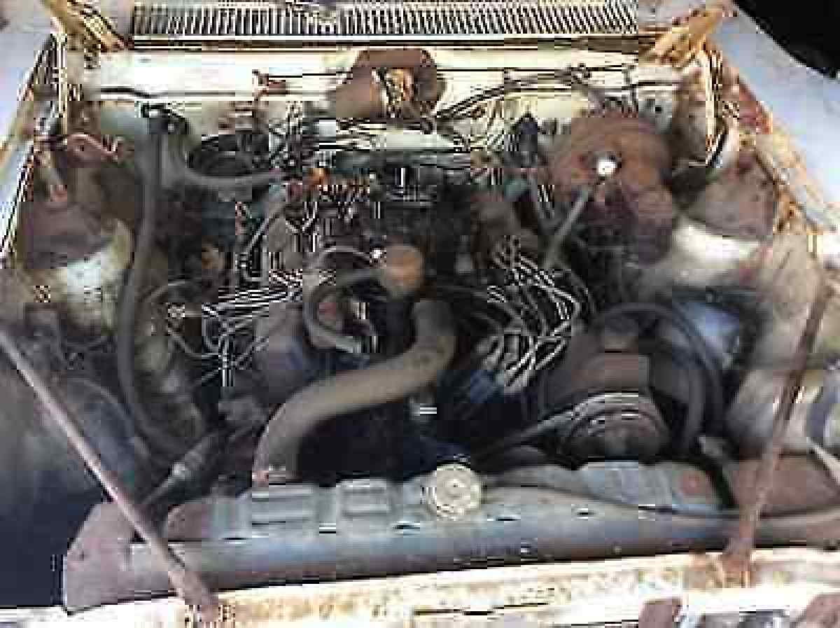 1973 AMC AMX Amx - photo 11