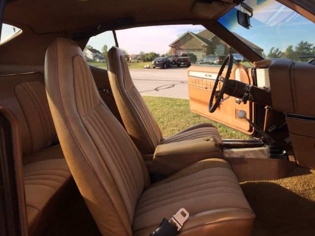 1973 AMC Javelin - photo 5