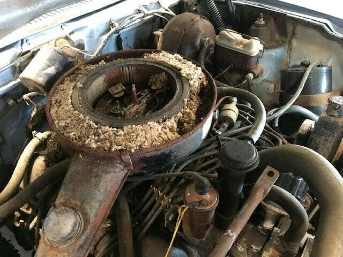 1973 AMC Javelin - photo 12