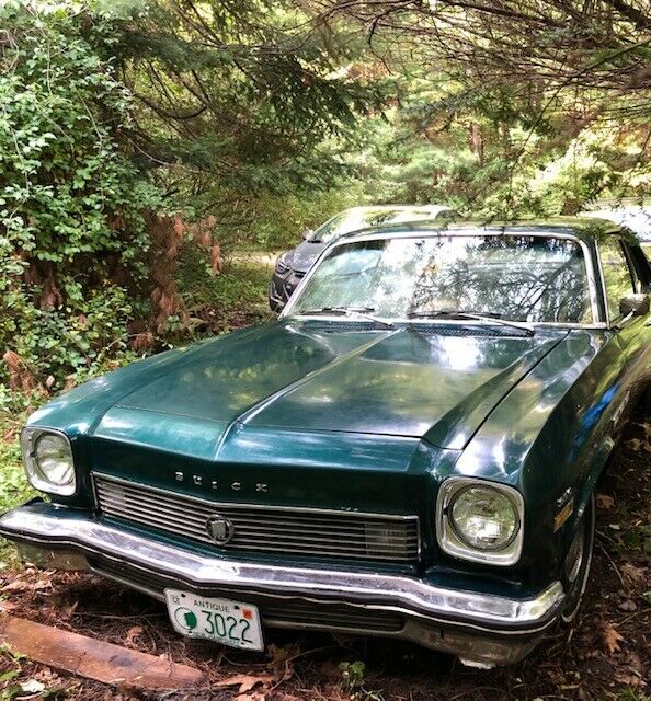 1973 Buick Other - photo 12
