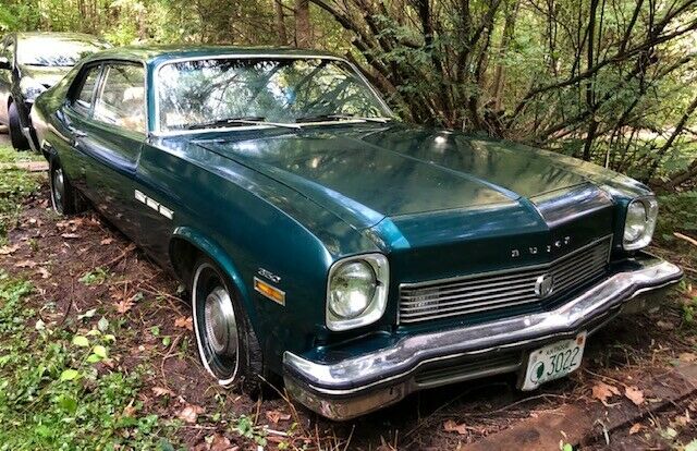 1973 Buick Other - photo 4