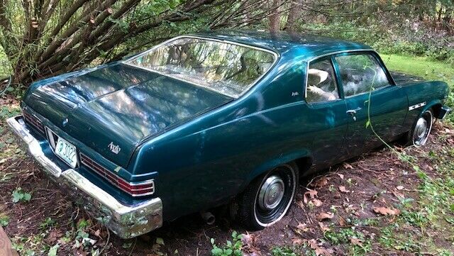 1973 Buick Other - photo 8