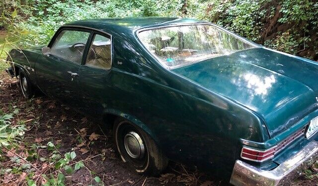 1973 Buick Other - photo 9