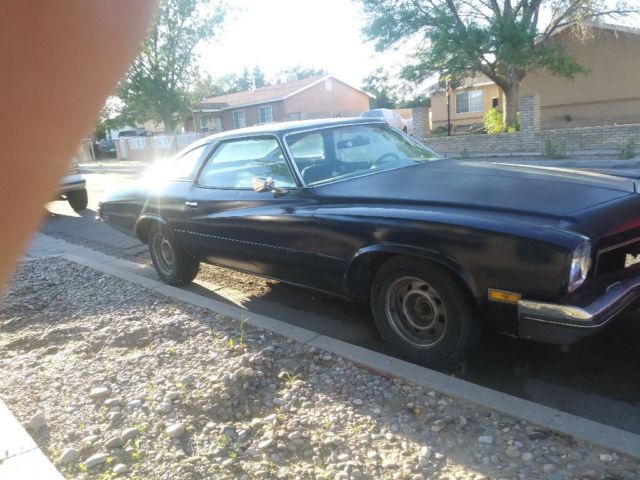 1973 Buick GS 350 - photo 7