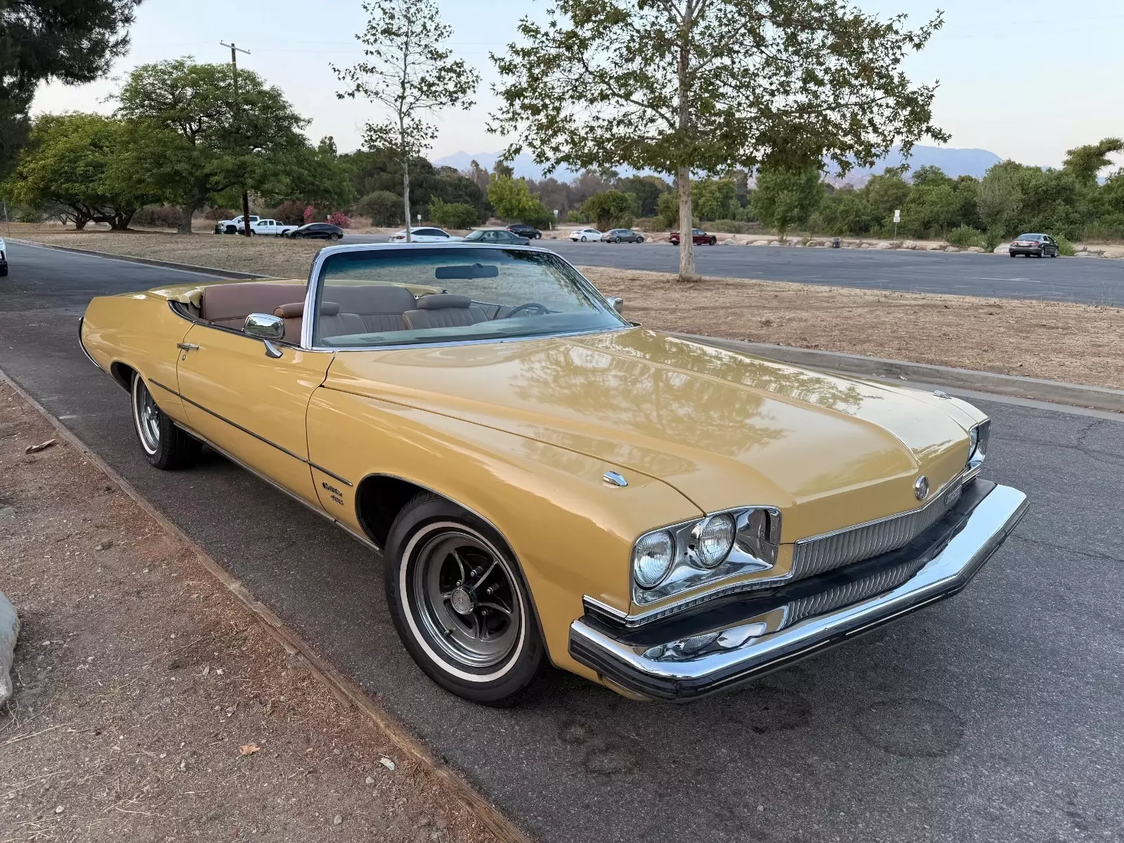 1973 Buick Centurion