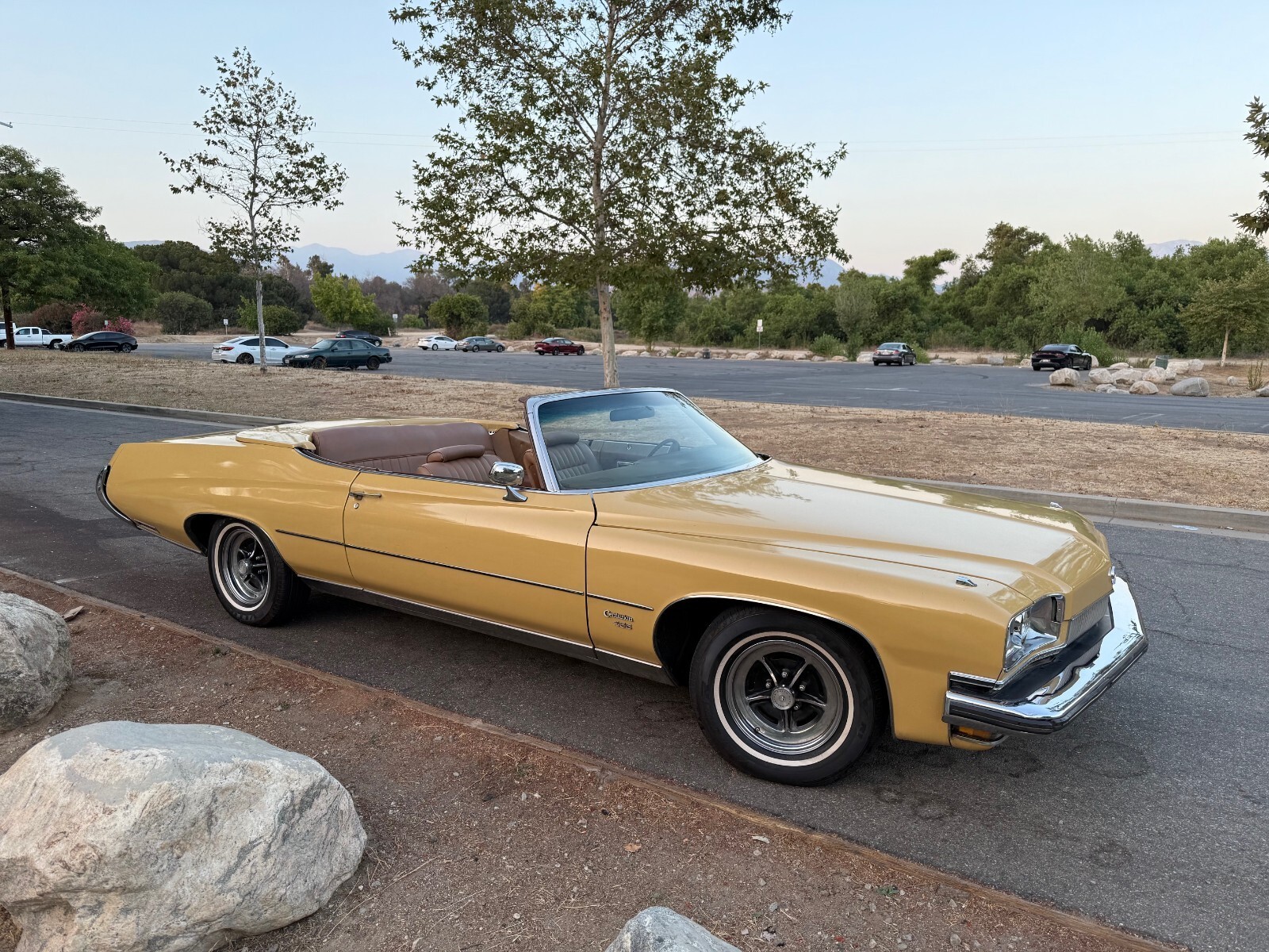 1973 Buick Centurion - photo 2