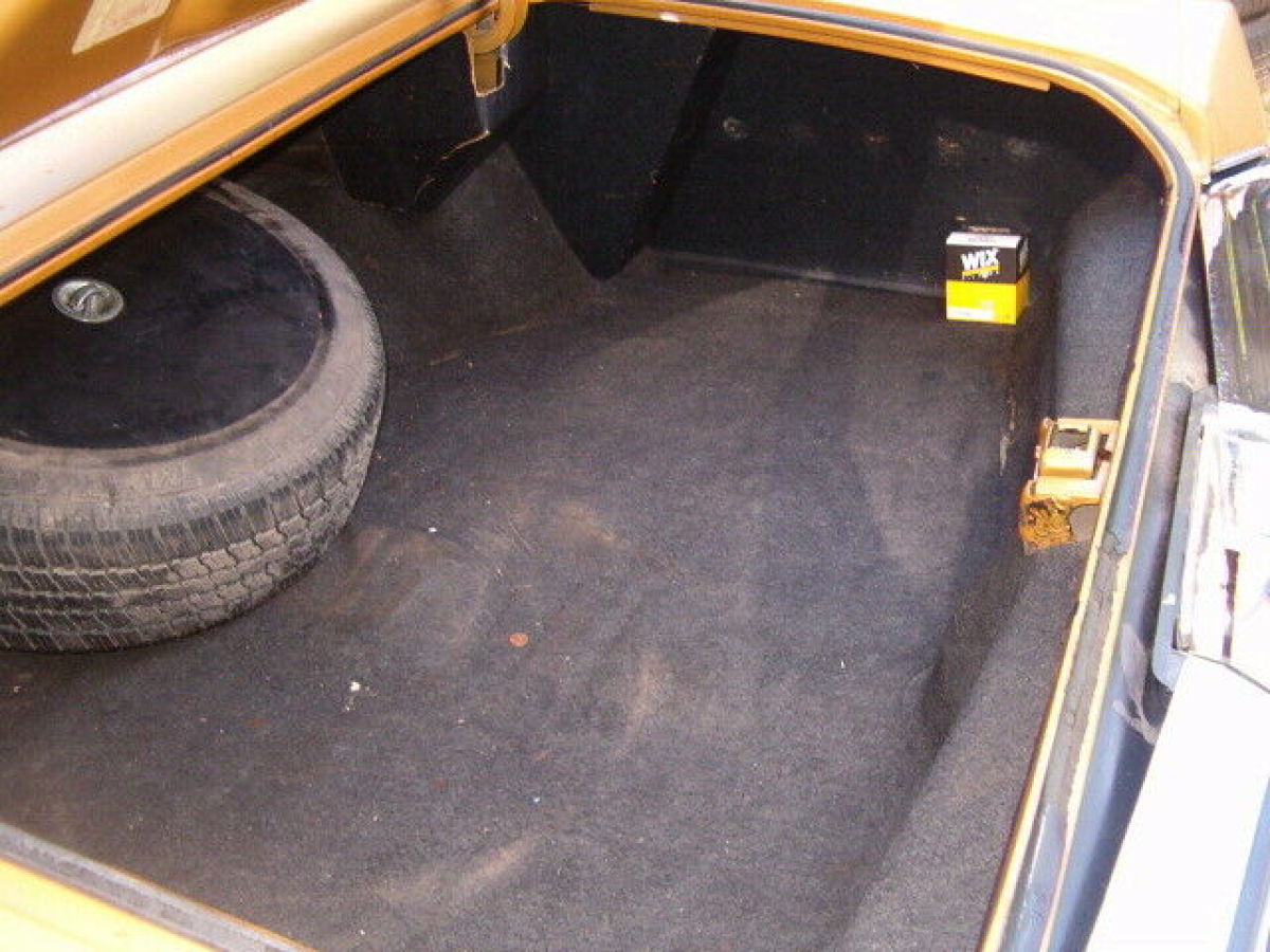 1973 Buick Electra 225 - photo 9