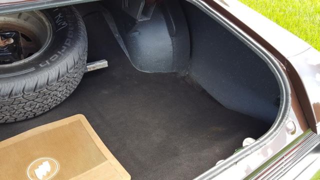 1973 Buick Gran Sport Stage 1 - photo 10