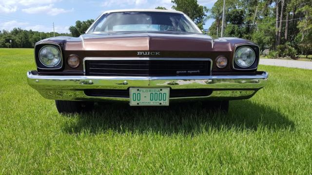 1973 Buick Gran Sport Stage 1 - photo 5