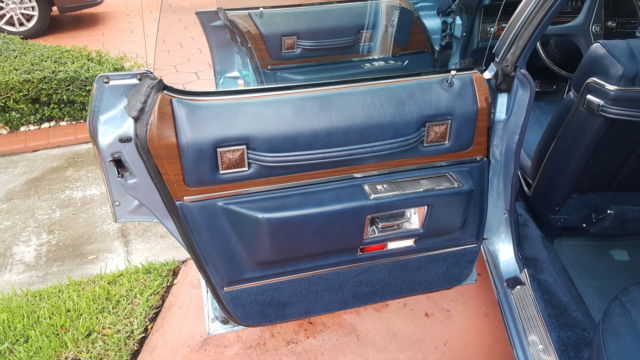 1973 Cadillac Fleetwood 60 Special - photo 8