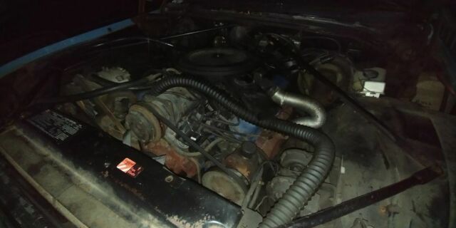 1973 Cadillac Other - photo 2
