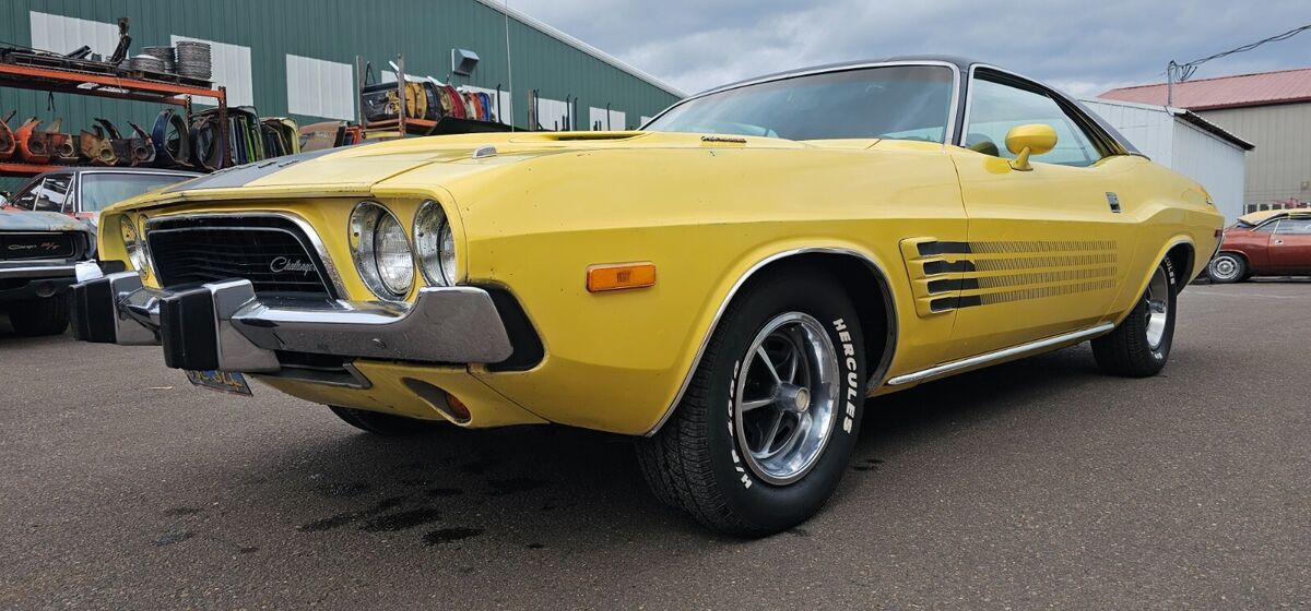 1973 Dodge Challenger - photo 3