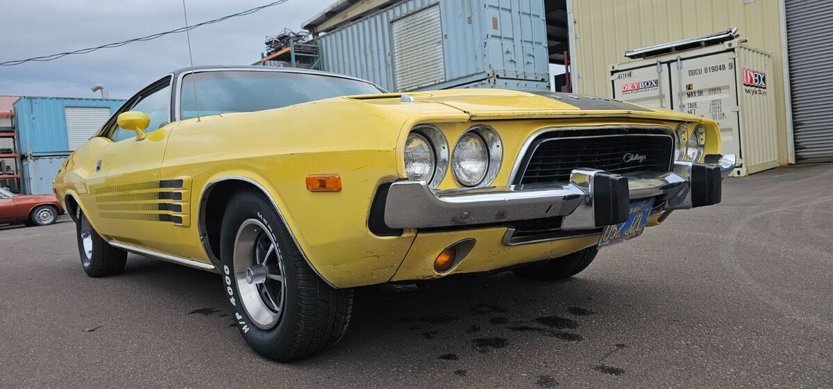1973 Dodge Challenger - photo 4