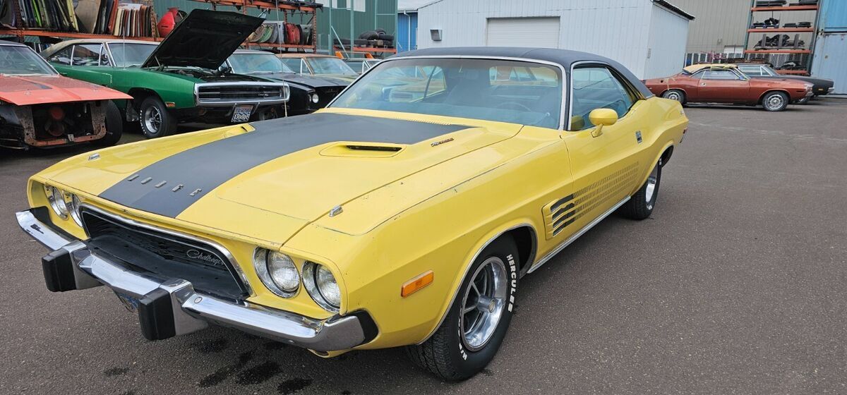 1973 Dodge Challenger - photo 5
