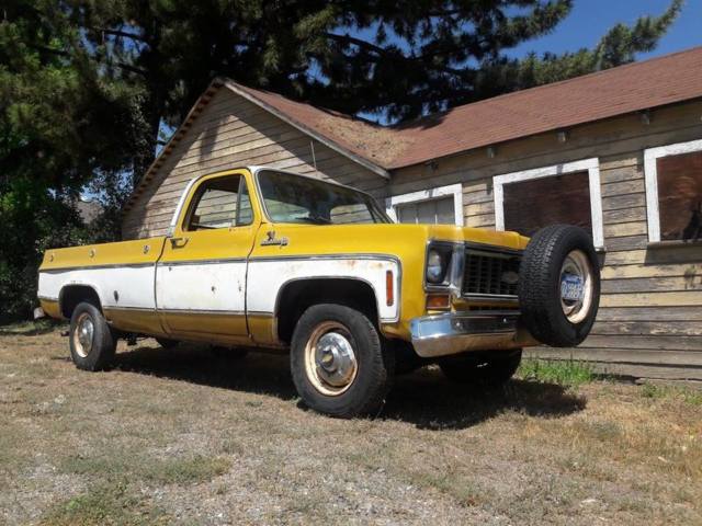 1973 Chevrolet C 20 Custom Deluxe California Farm Truck 1973 Chevrolet C/K Pickup 2500 custom deluxe
