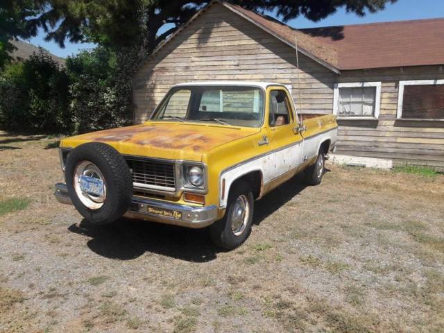 1973 Chevrolet C/K Pickup 2500 custom deluxe - photo 10