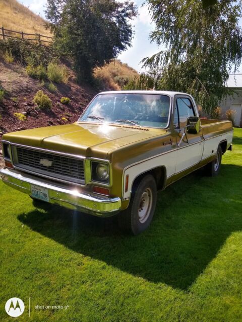 1973 Chevrolet C20/K20 green - photo 2