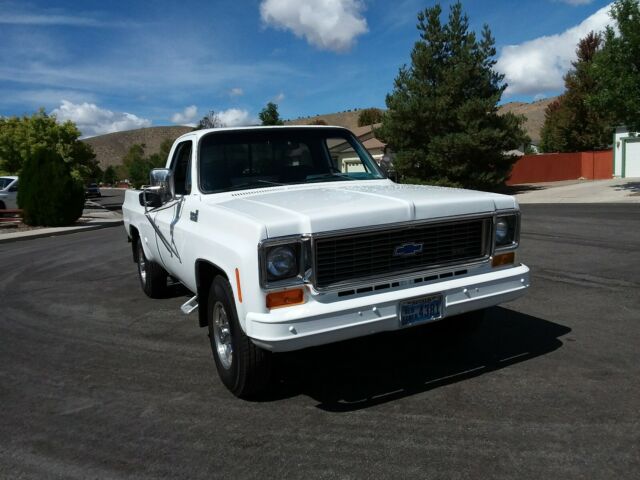 1973 Chevrolet C20/K20 Custom Deluxe - photo 5