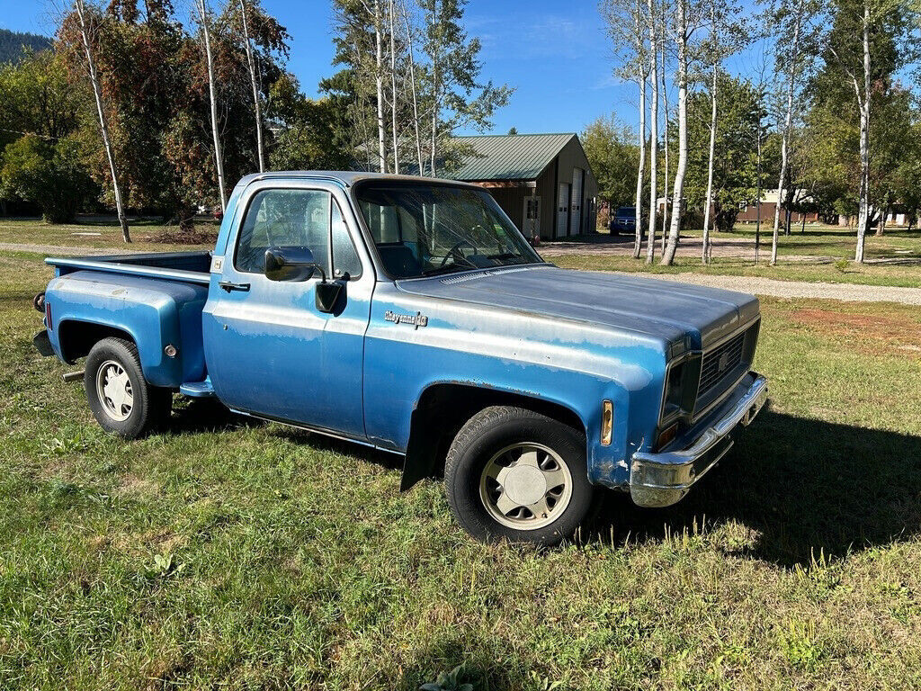 1973 Chevrolet Cheyenne 10 Numbers Matching Barn Find 2Dr Stepside - photo 7