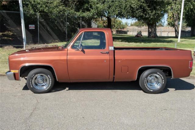 1973 Chevrolet Other Pickups - photo 2