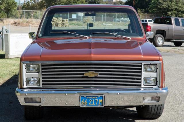 1973 Chevrolet Other Pickups - photo 5