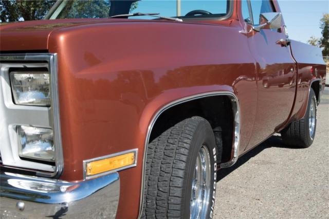 1973 Chevrolet Other Pickups - photo 6