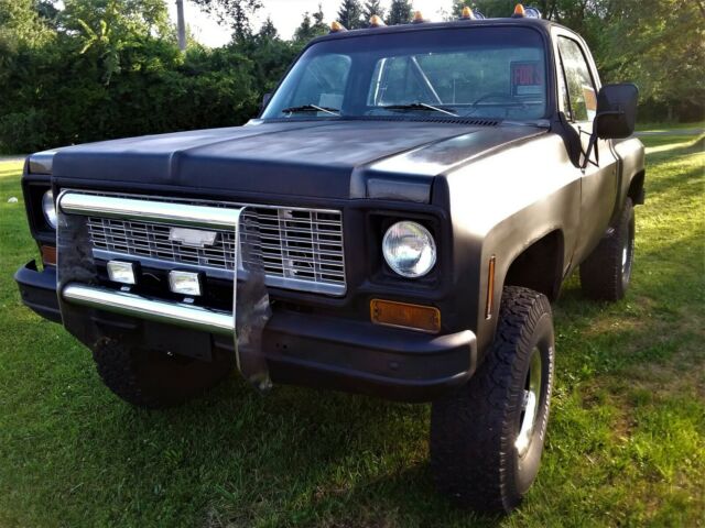 1973 Chevrolet C/K Pickup 1500 Cheyenne - photo 3
