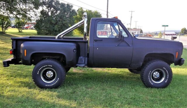 1973 Chevrolet C/K Pickup 1500 Cheyenne - photo 4