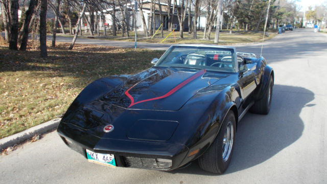 1973 Chevrolet Corvette Base Convertible 2-Door - photo 10