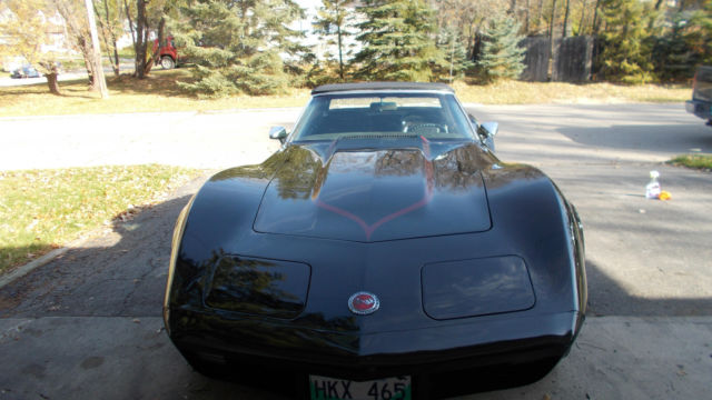 1973 Chevrolet Corvette Base Convertible 2-Door - photo 3