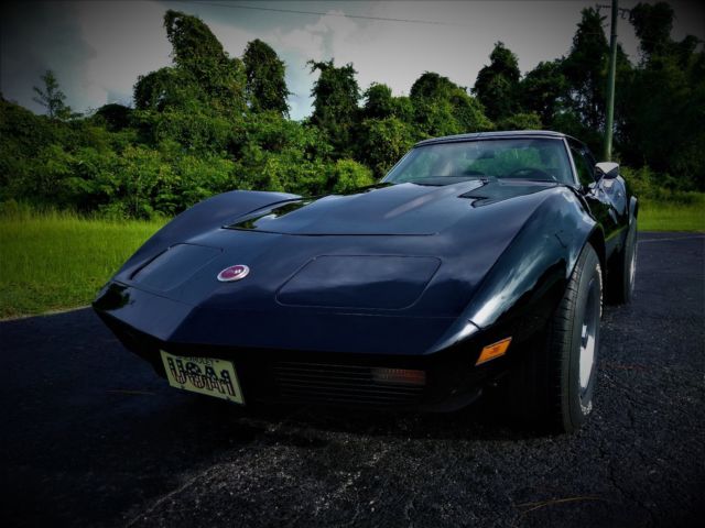 1973 Chevrolet Corvette - photo 7