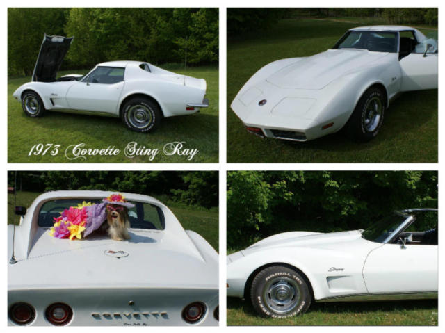 1973 Chevrolet Corvette T-Tops - photo 5